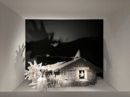 Diorama (Schaukasten) für die Ausstellung Artist Meets Archive #3: Lebohang Kganye. 