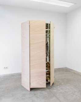 Schrank aus Tischlerplatte in einem leeren Raum, Türen stehen leicht geöffnet, das Innere ist verspiegelt 