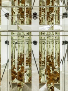 Blick in einen verspiegelten Schrank, in dem ein ausgestopfter Fuchs liegt. 