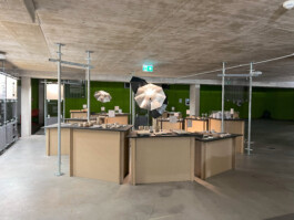 Rauminstallation und Ausstellung mit Sockeln aus roher Spannplatte. Entwurf DIIIP Architektur 