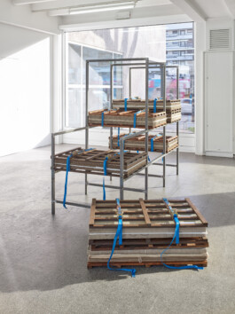 Installation von Jumana Manna, Metallregal mit Holzausschnitten aus dem Post Herbarium 