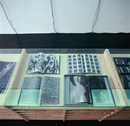 Aufsicht der Vitrine mit Regalfächern aus Tischlerplatte 