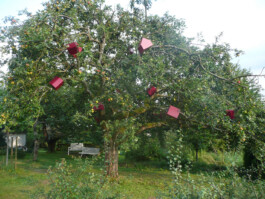Viele kleine Haus-Skulpturen, die in die Äste eines Baum gebaut wurden 